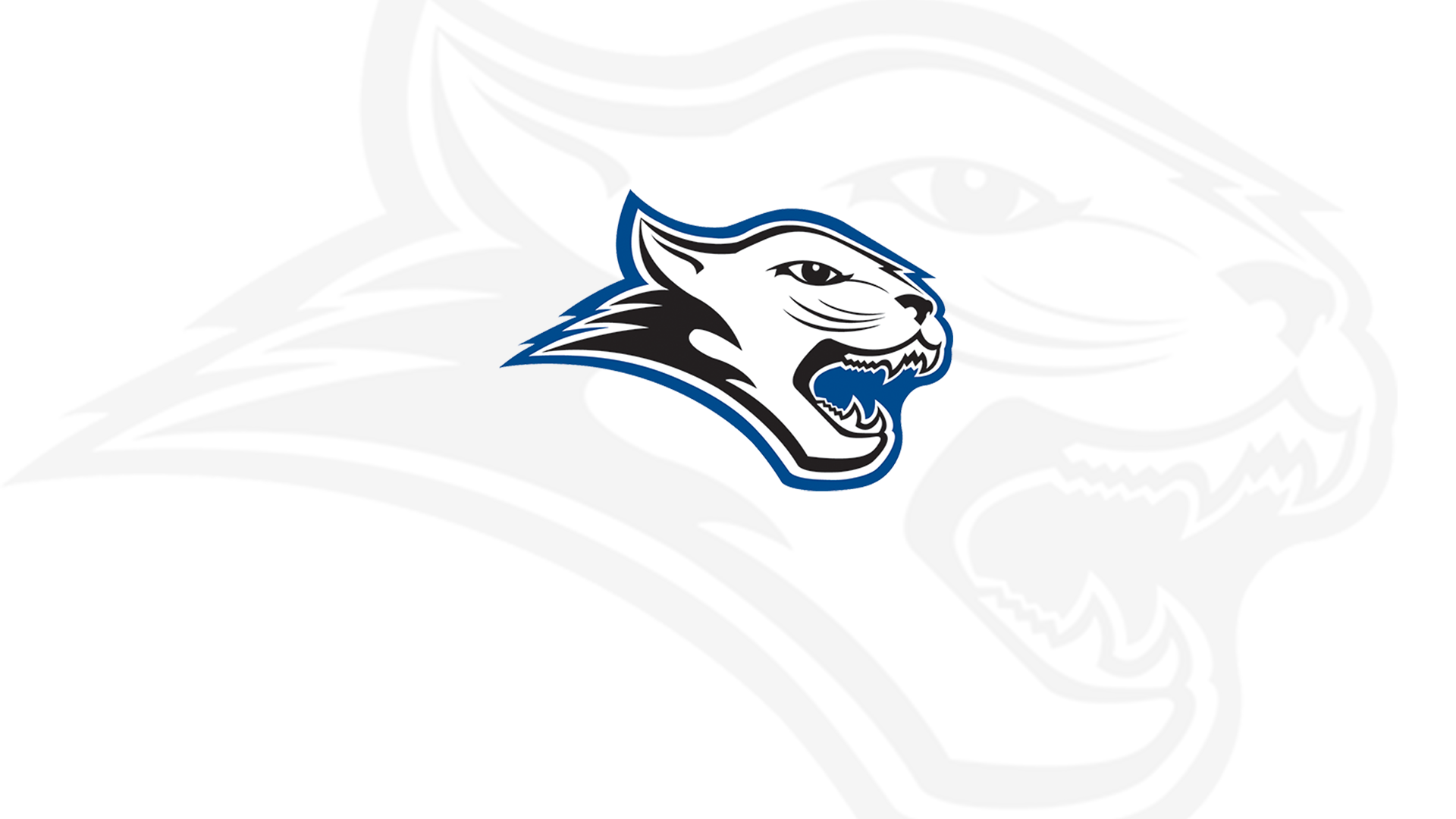 CCC Baseball Student-Athletes Honored